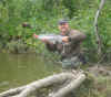 Coho_on_Pink3.JPG (60273 bytes)
